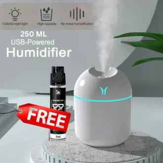Air Humidifier - 220ml Mini Diffuser for Air Freshener